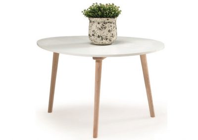 TABLE BASSE RONDE