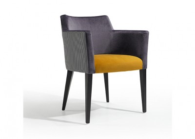 FAUTEUIL GASTRO LUXE